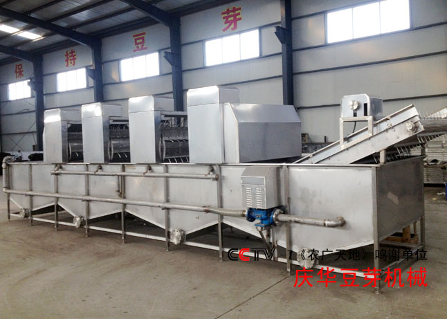 大型綠豆芽清洗機(jī)